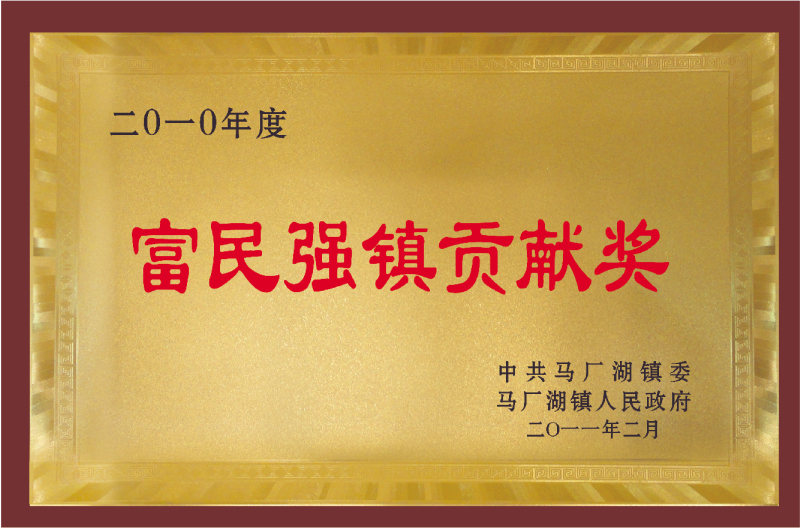 2010年度富民强镇贡献奖